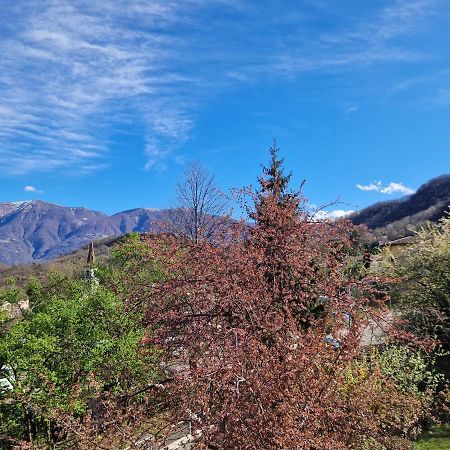 Hotel Zelindo Losone Bagian luar foto