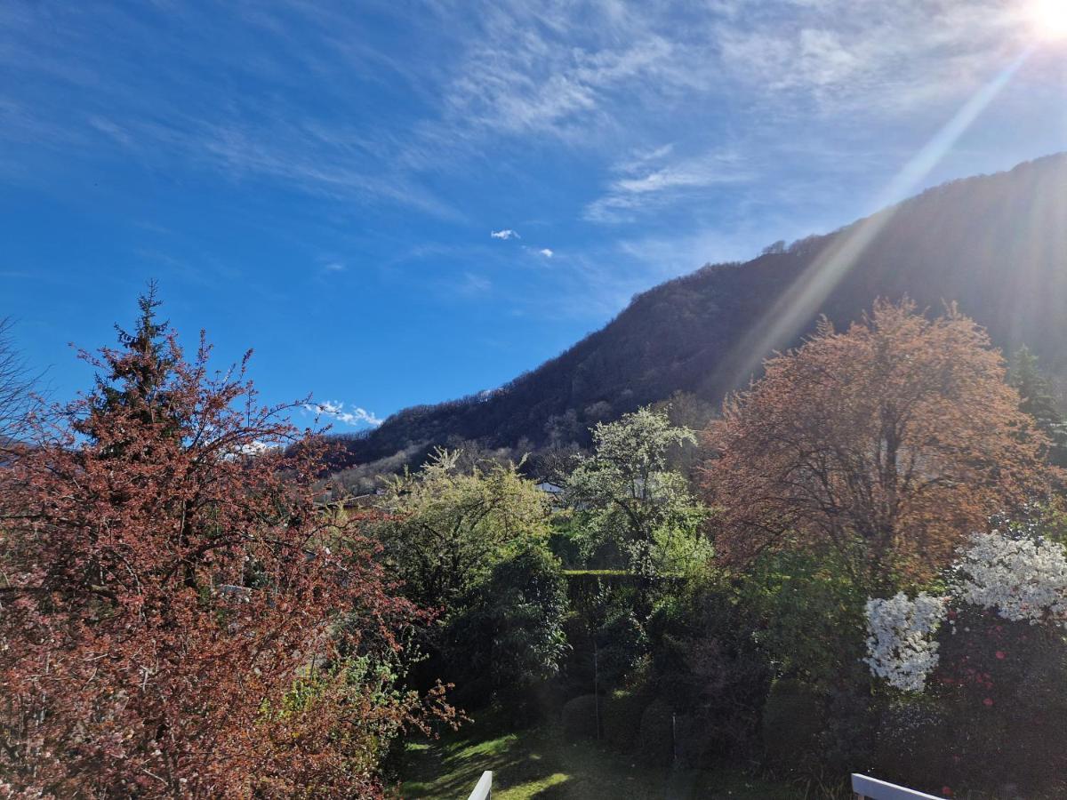 Hotel Zelindo Losone Bagian luar foto