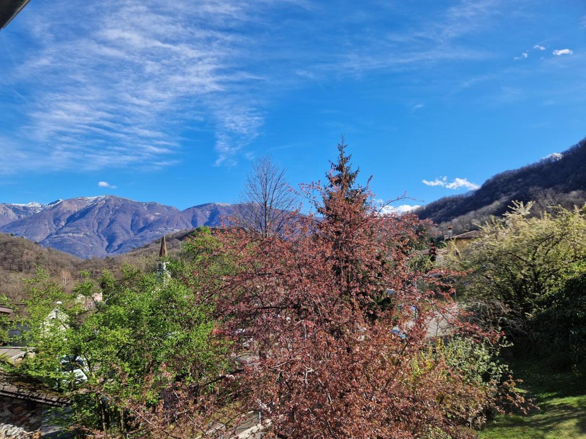 Hotel Zelindo Losone Bagian luar foto