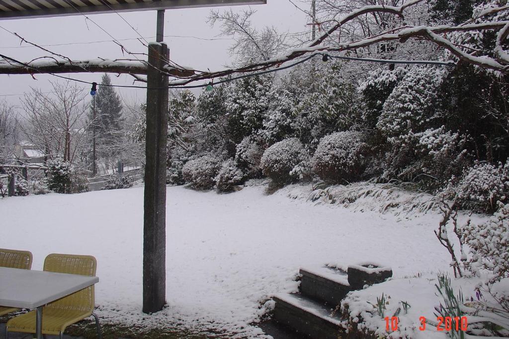 Hotel Zelindo Losone Bagian luar foto